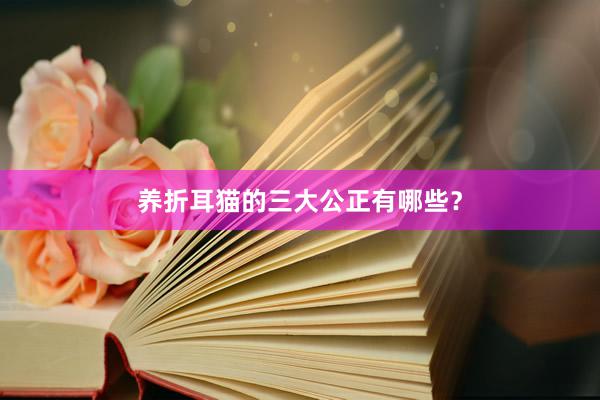 养折耳猫的三大公正有哪些？