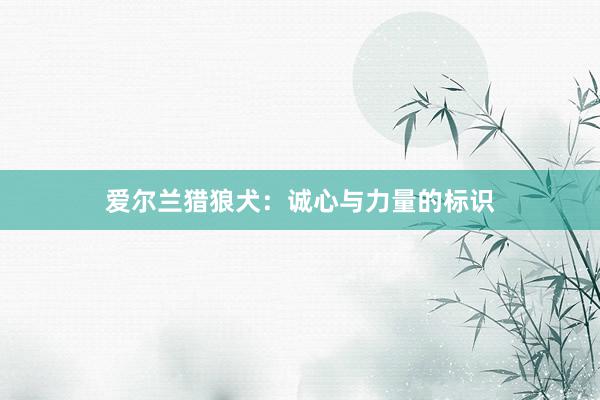 爱尔兰猎狼犬：诚心与力量的标识