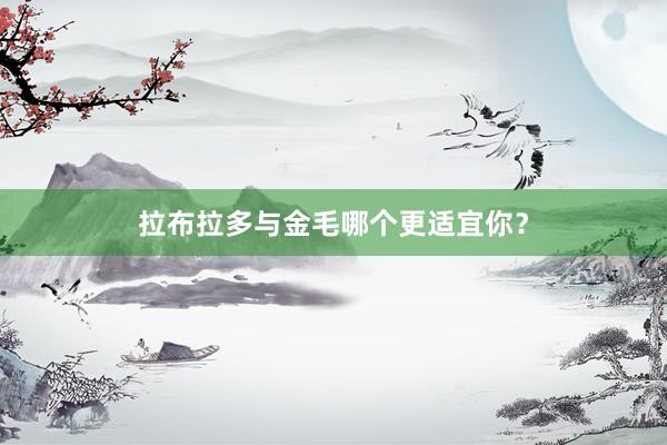 拉布拉多与金毛哪个更适宜你?