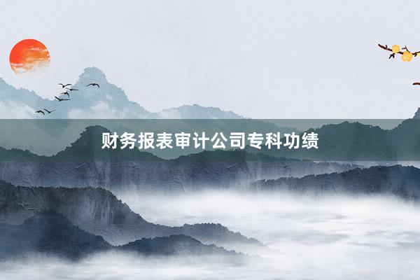 财务报表审计公司专科功绩